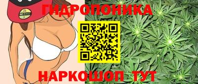 ECSTASY Малгобек