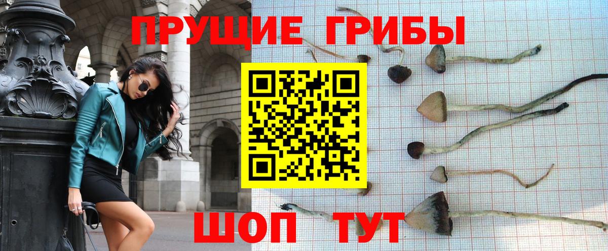 Псилоцибиновые грибы Magic Shrooms  Вход с VPN  наркотики  Татарск 